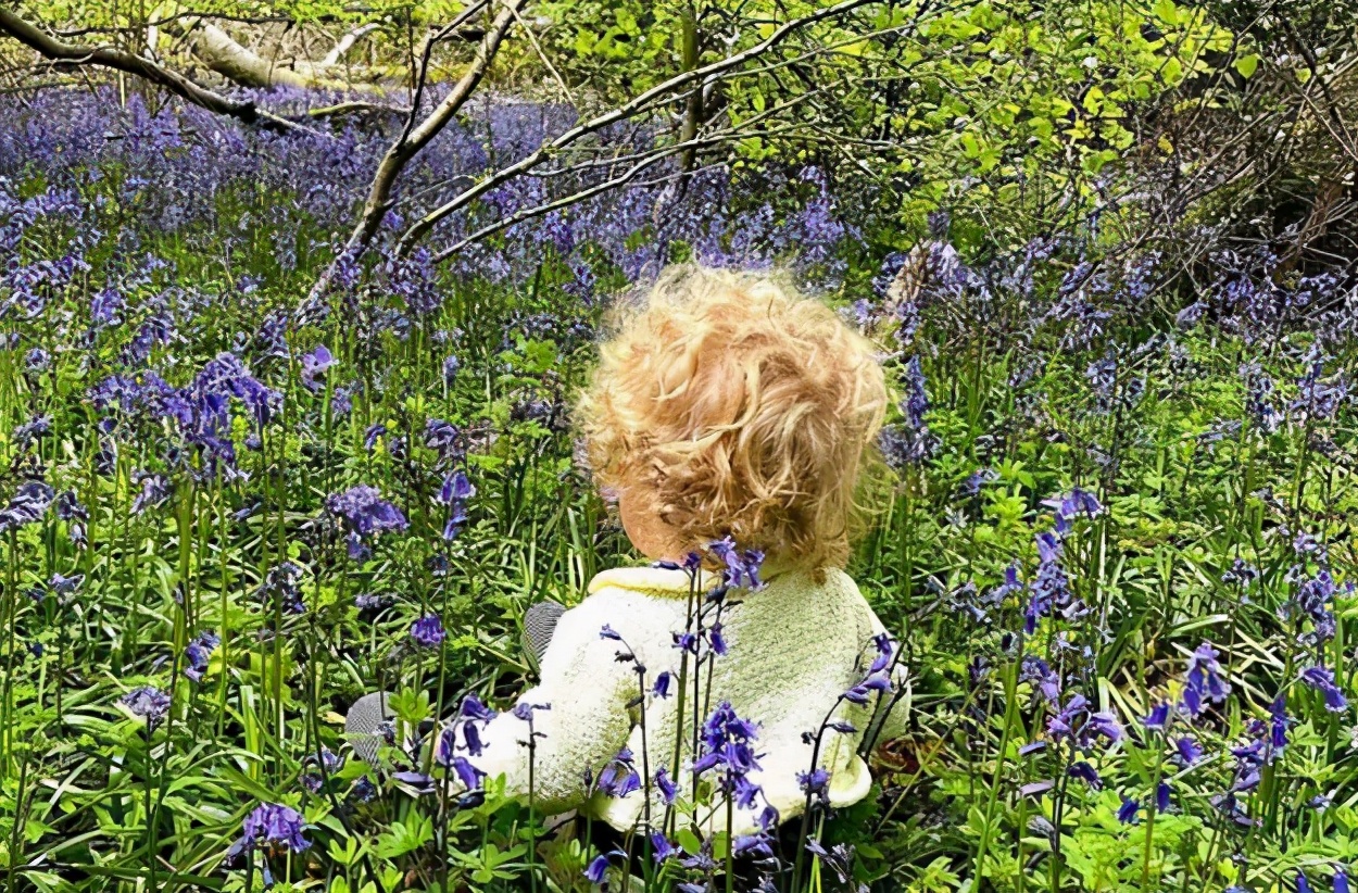 英国首相鲍里斯最新视频,英首相鲍里斯人生