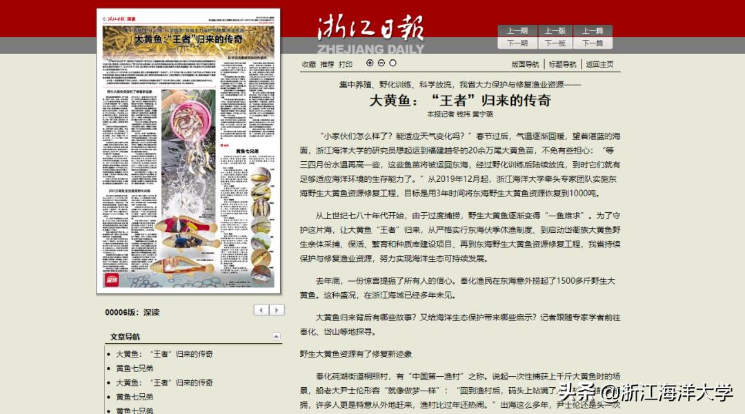 《浙江日报》深读｜大黄鱼：“王者”归来的传奇