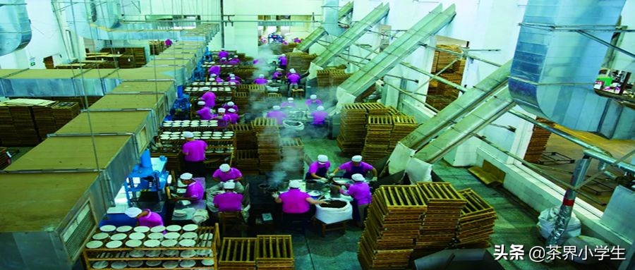 大益普洱茶双11,2017双十一普洱茶推荐