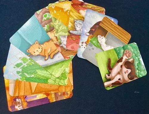 桌游猫街,美好的桌游猫街