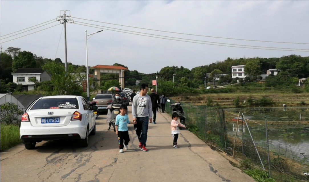 长沙附近摘草莓的地方在哪里,长沙开福区周边摘草莓的地方