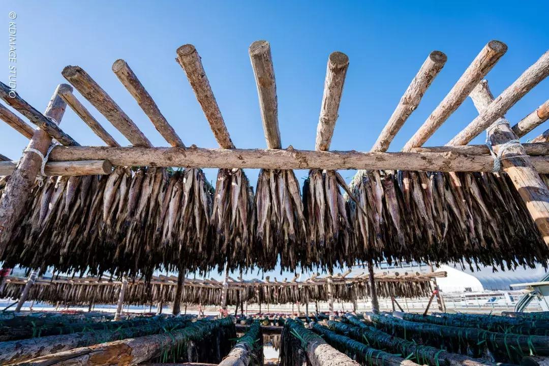 韩剧里都没有的另类玩法！这份韩国旅行攻略你值得拥有哦