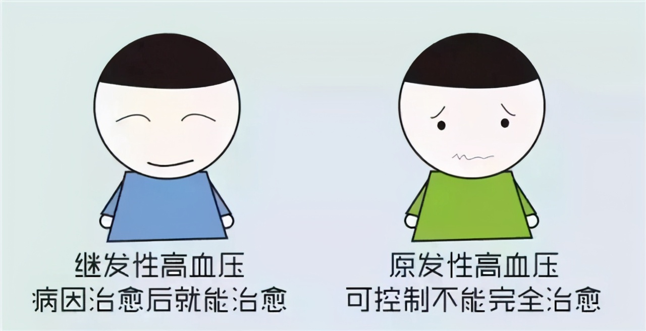 长期吃高血压药需要吃叶酸吗,h型高血压需要长期吃叶酸吗