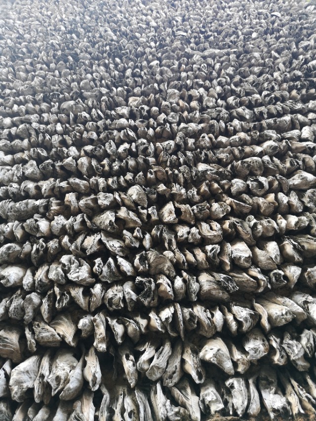 广州沙湾古镇有什么特点,广东省的文化沙漠在哪里