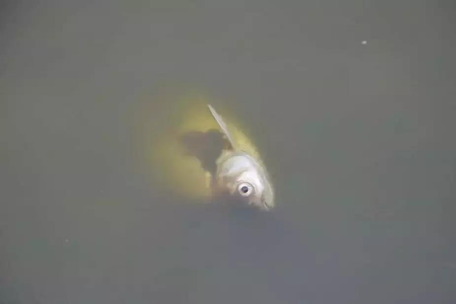 缅甸多地创下高温纪录,极端最高温度40度