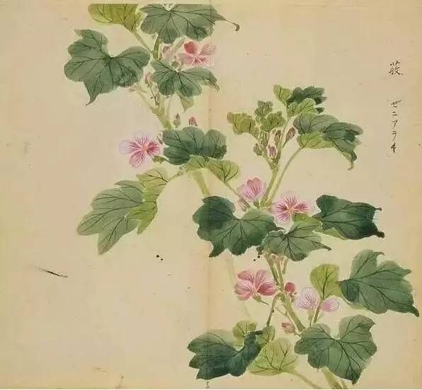 惊艳千年的古诗词合集,五千年来最美的20首诗