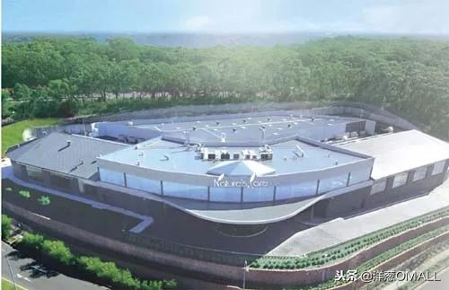 海外保健品牌洋葱,洋葱omall的供应链整合能力