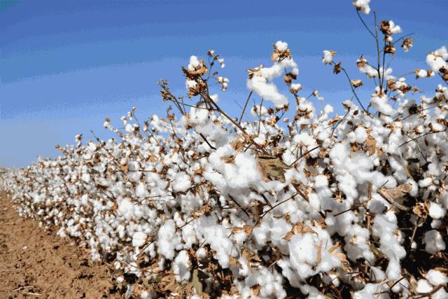 氛围感四件套纯棉,高级感氛围四件套