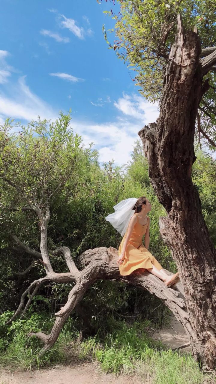 必拍的婚纱照八种风格,自拍婚纱照推荐风格