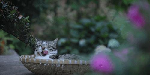 用旧桌子自制沙发,自己动手将桌子改造成流觞曲水桌