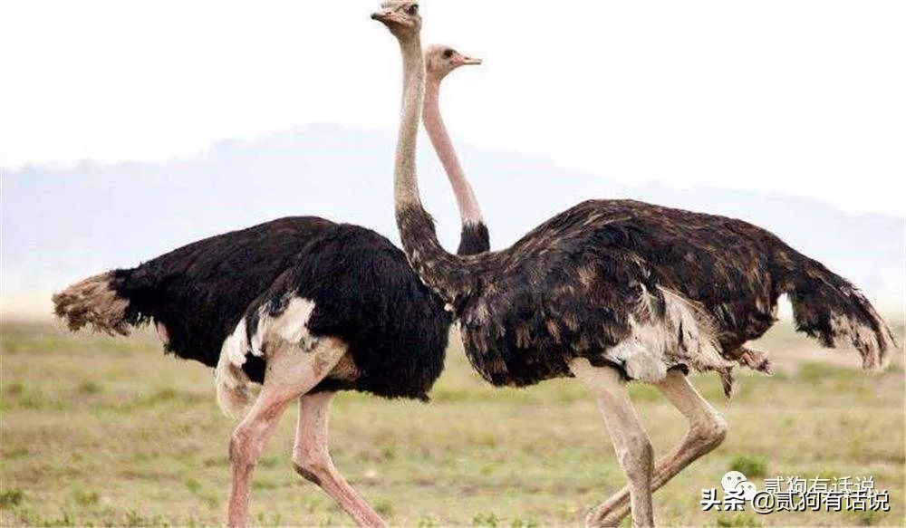 小时候我们都遇到过哪些谎言,小时候我们被骗的5个谎言