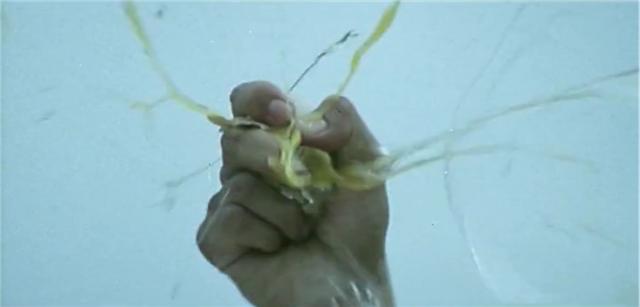 元彪元华元秋元奎还有谁同出师门,元彪全部电影香港