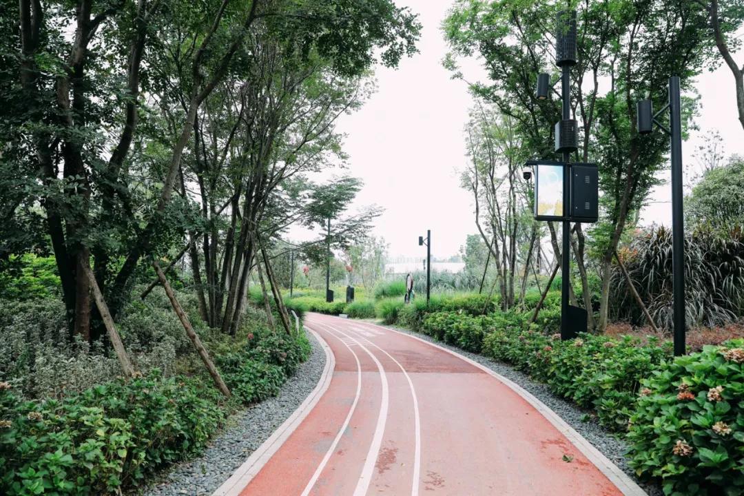 周末去哪里玩成都室内,周末去哪儿玩儿成都周围