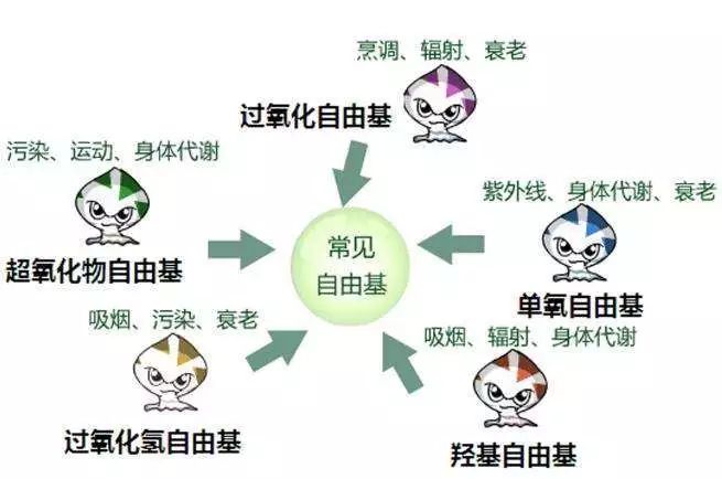 网红都在用的抗老神器真的有用吗,深扒张庭护肤品