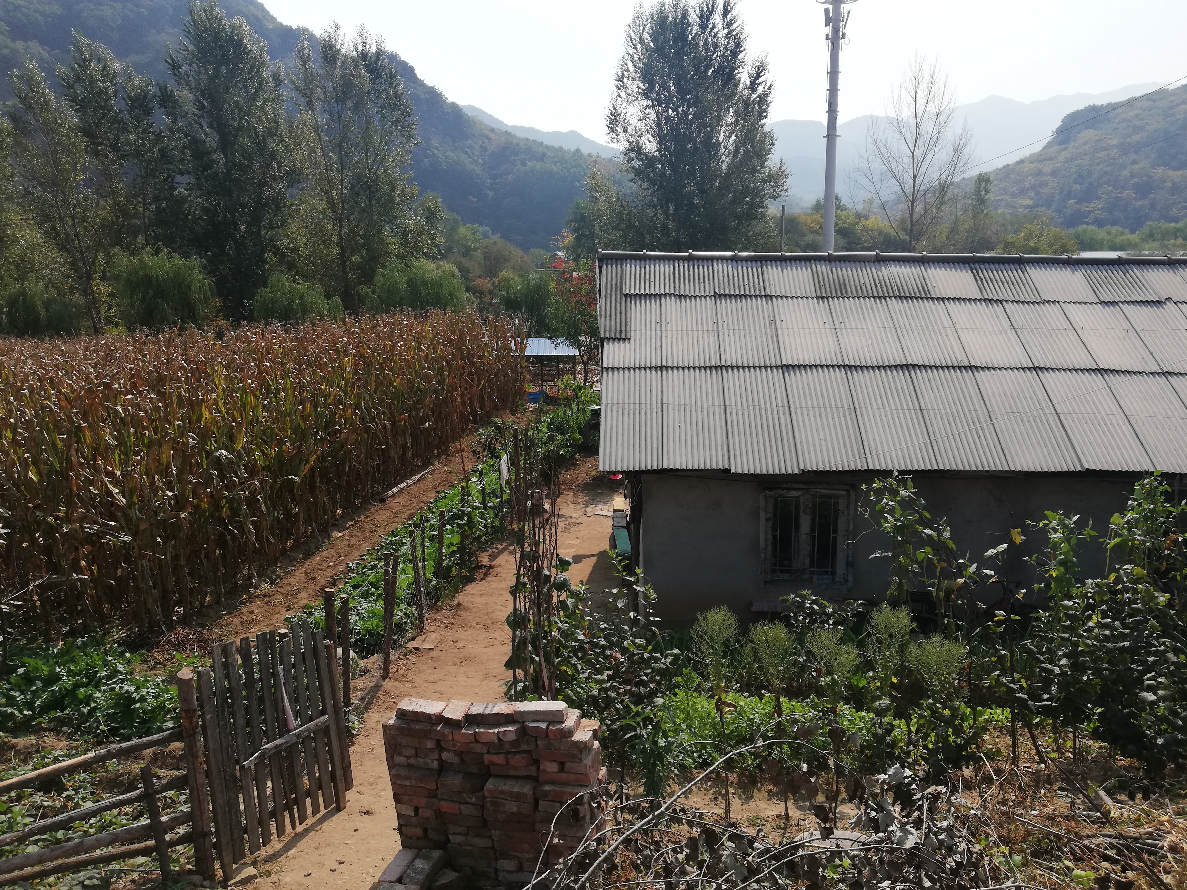 本溪桓仁旅游攻略自驾游,十一本溪桓仁枫叶自驾游攻略