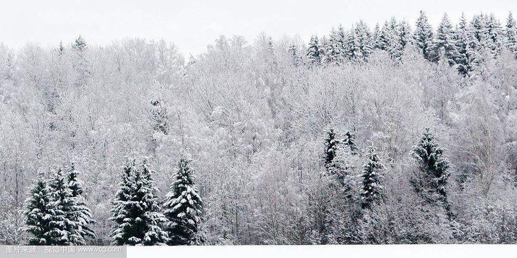 秋韵温柔岁月，冬情惊艳时光