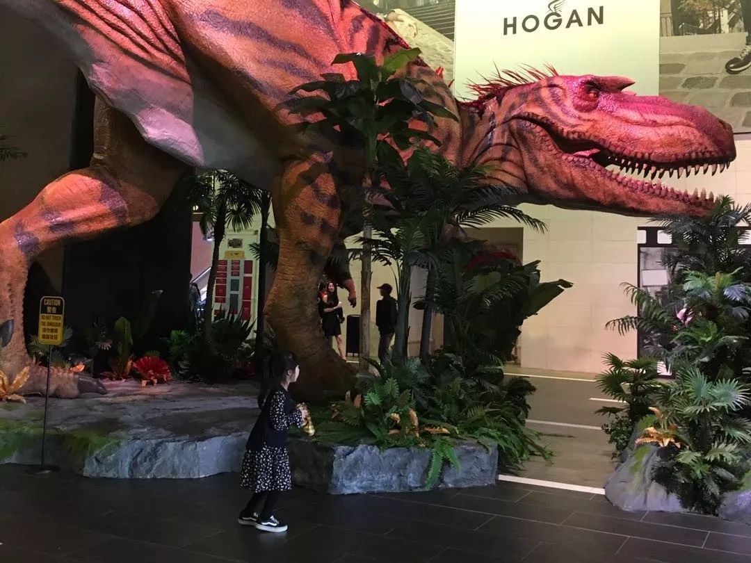 香港澳门哪个更好,香港澳门好申请吗