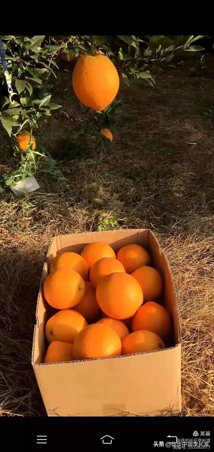 曲靖校园足球比赛,云南2022青少年足球联赛曲靖