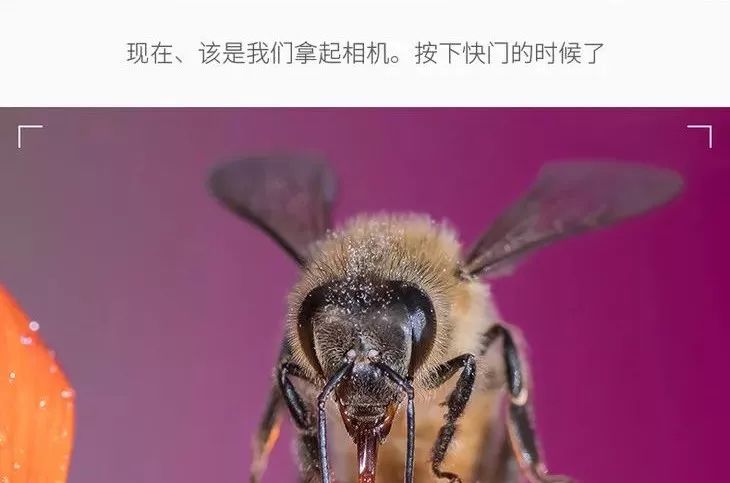 70-200f4能拍啥,70200套件安装视频