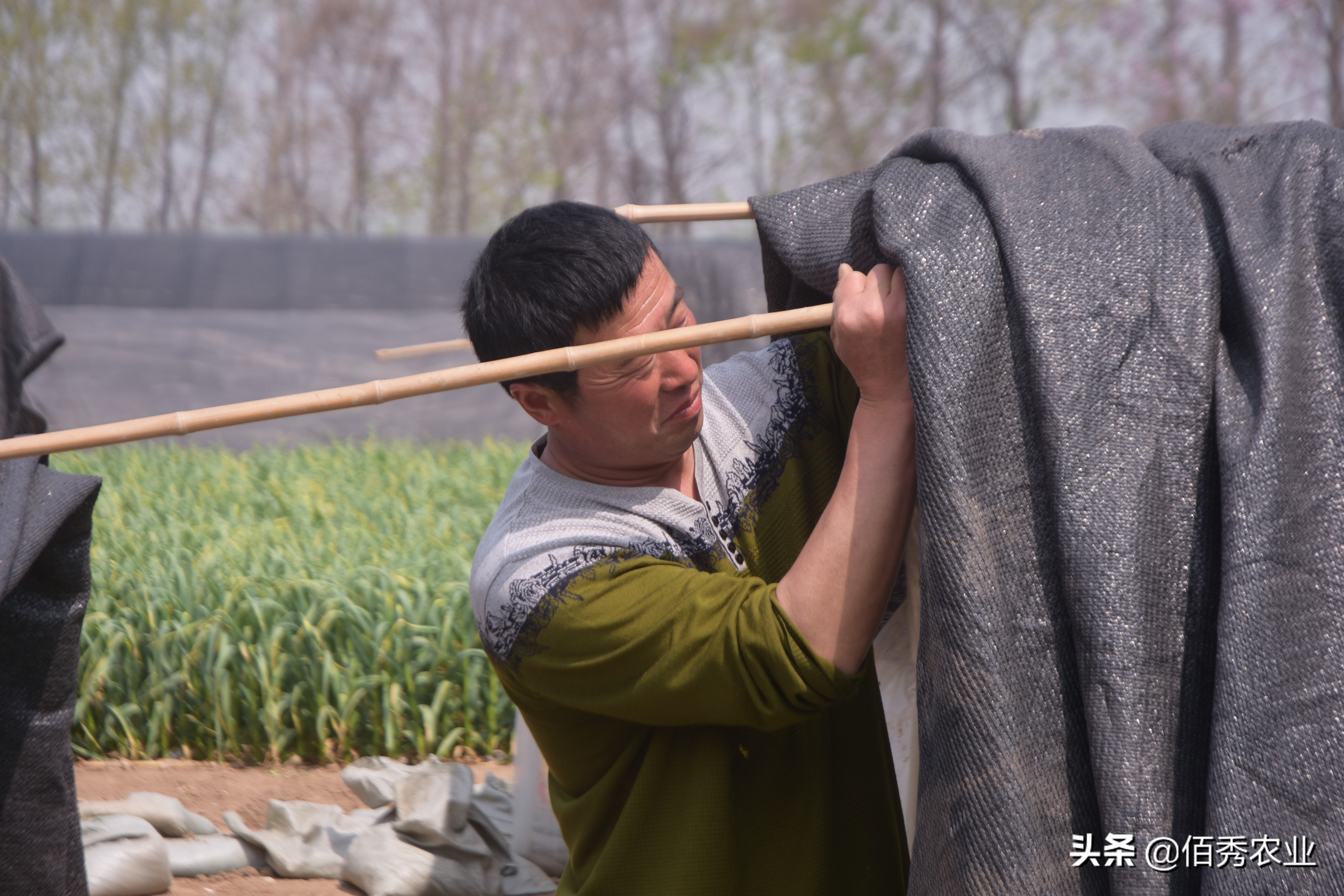 农村人打工赚钱方法有哪些,农村人如何打工赚钱