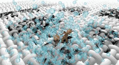 衣服洁白如新,白色衣服怎么洗洁白如新