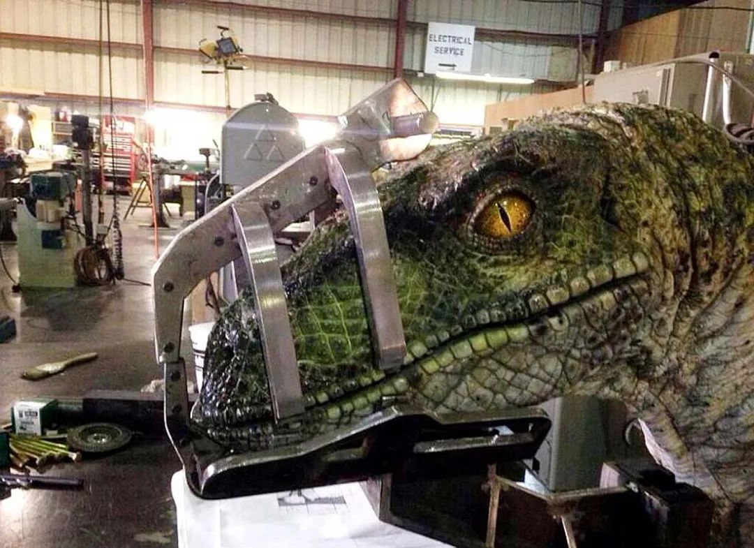 北京欢乐谷只能玩半天吗,北京欢乐谷一天玩不完怎么办