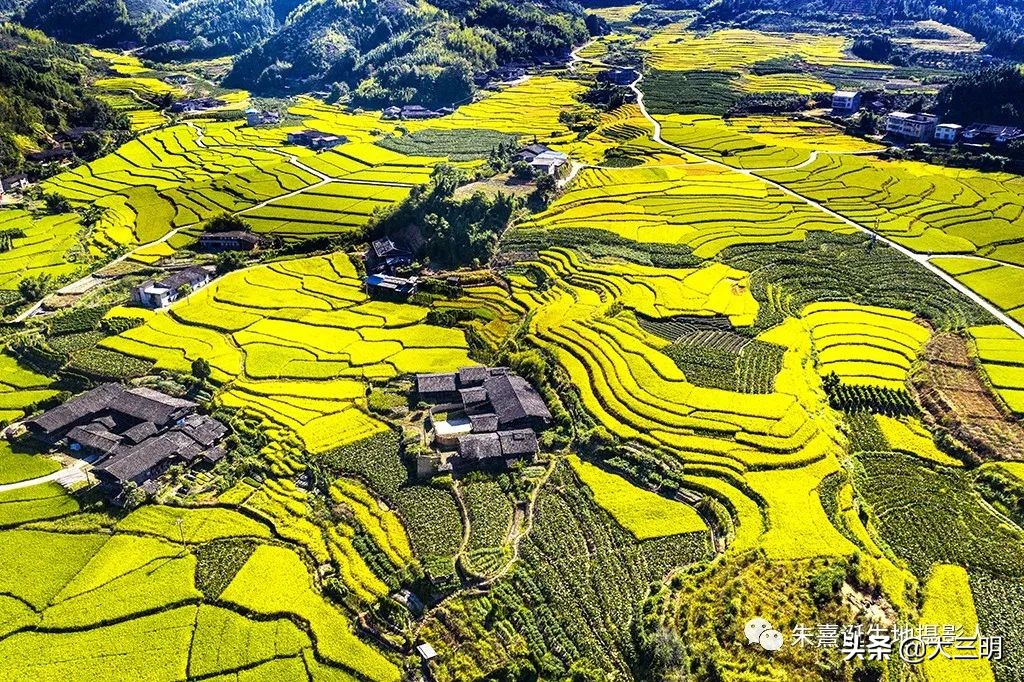 家在景区,家在公园旁是一种怎样的体验