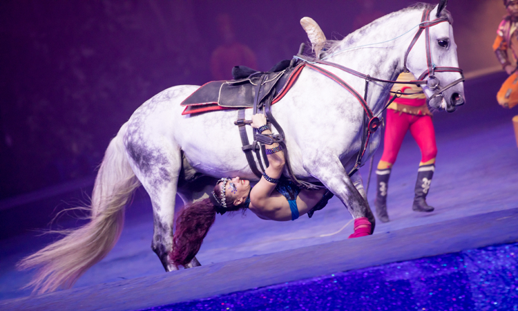 国内十大旅游景点广州长隆上榜,广州长隆旅游攻略必去十大景点