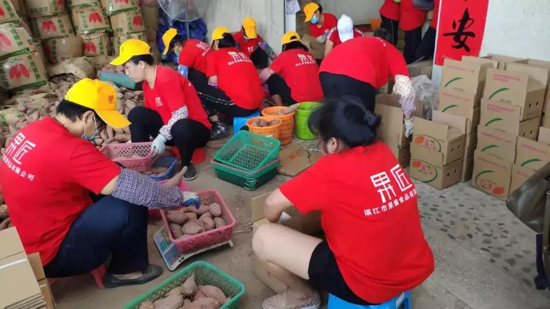 温州大爷仅靠卖红薯一年赚80w,湛江90后真实收入