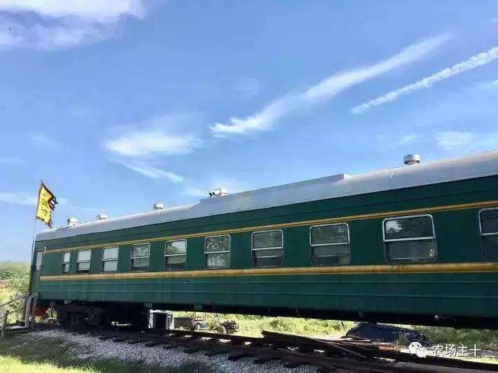 200亩，游客年超30万，这个用枯树建成的农庄牛在哪？