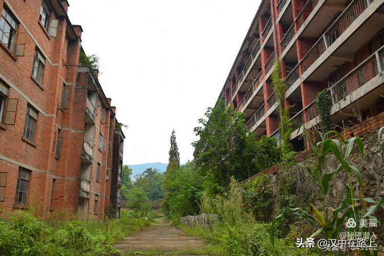 好久不见汉中这个三线厂你还记得吗？