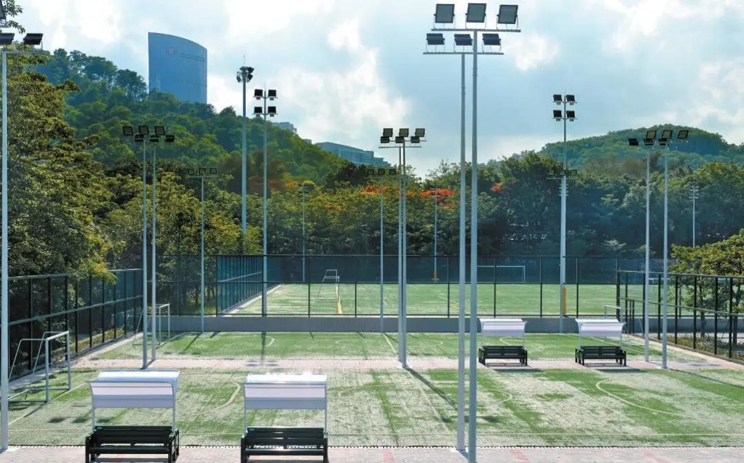 深圳罗湖图书馆开放时间,罗湖图书馆新开在哪了