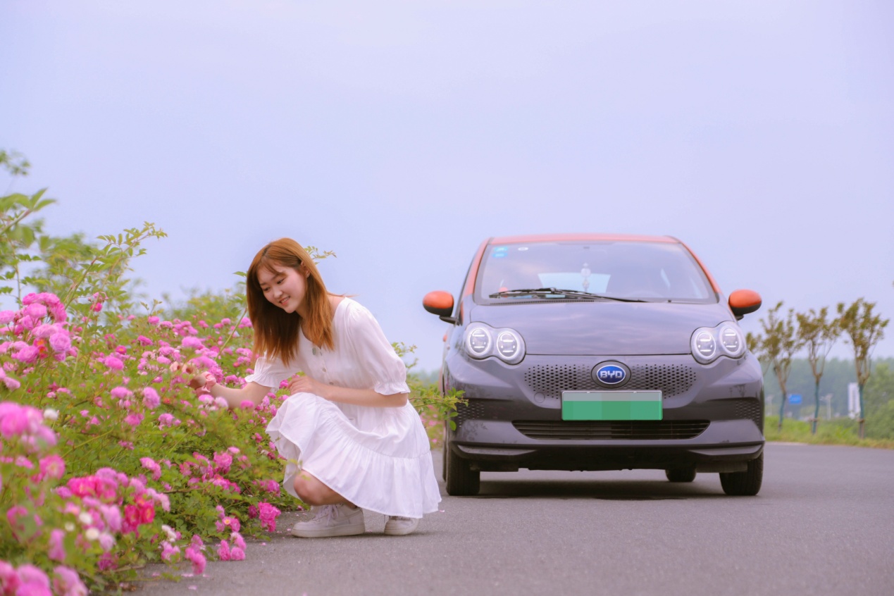 萌新小车推荐,新能源萌车推荐