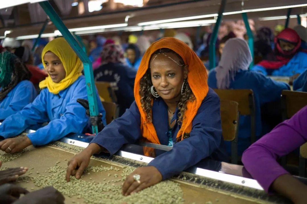 全球有哪些主要咖啡生产国,印度尼西亚咖啡产地