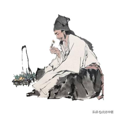 中医执业药师考试重点必背,中医诊断执业医师常考知识点