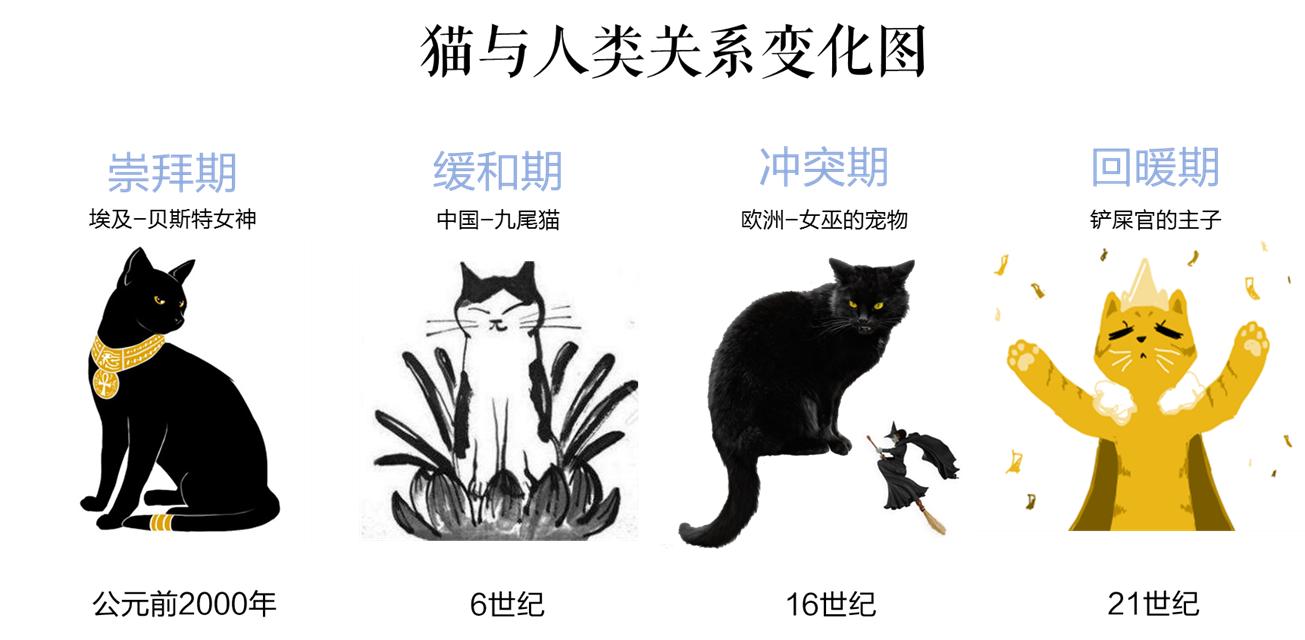 为什么不建议买东北猫,辟谣不同国家的土猫
