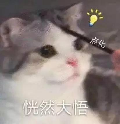 涓轰簡鑰佸叕鏀惧純鎭嬬埍,涓轰簡鑰佸叕濮旀洸姹傚叏