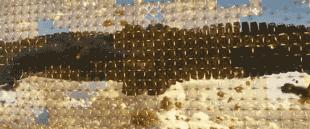 中国黑科技再获大突破,黑科技纳米喷雾