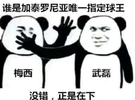 武磊梅西同框竞技图片,武磊梅西对决完整版