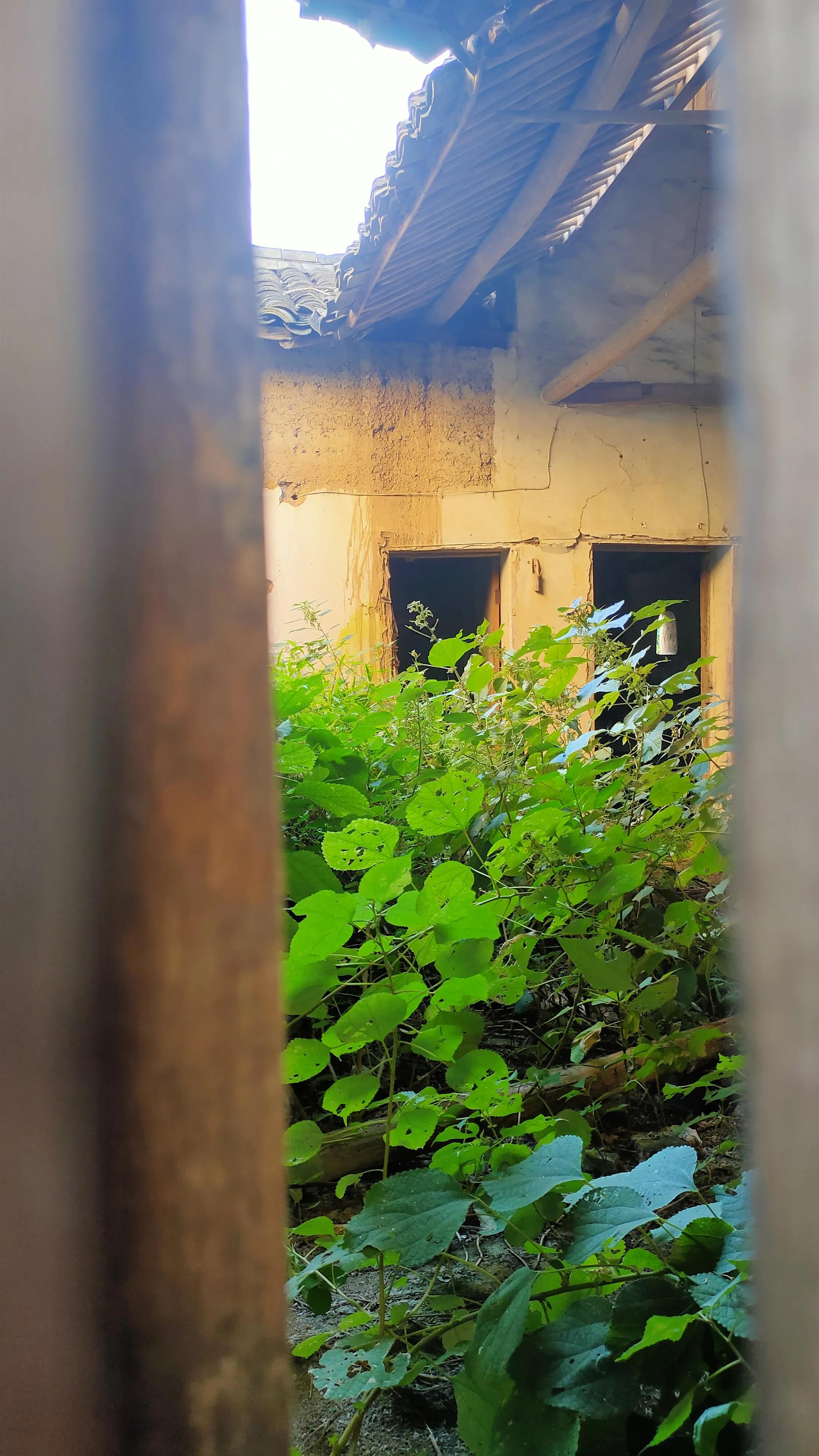 孩子想外婆怎么办,想外婆