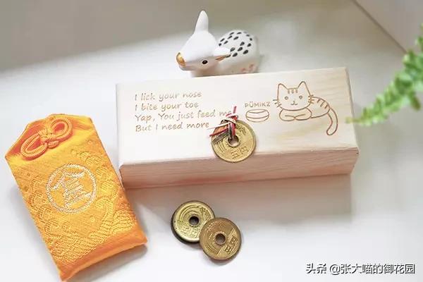 猫咪掉胡须买彩票中大奖,主人捡了一只猫咪