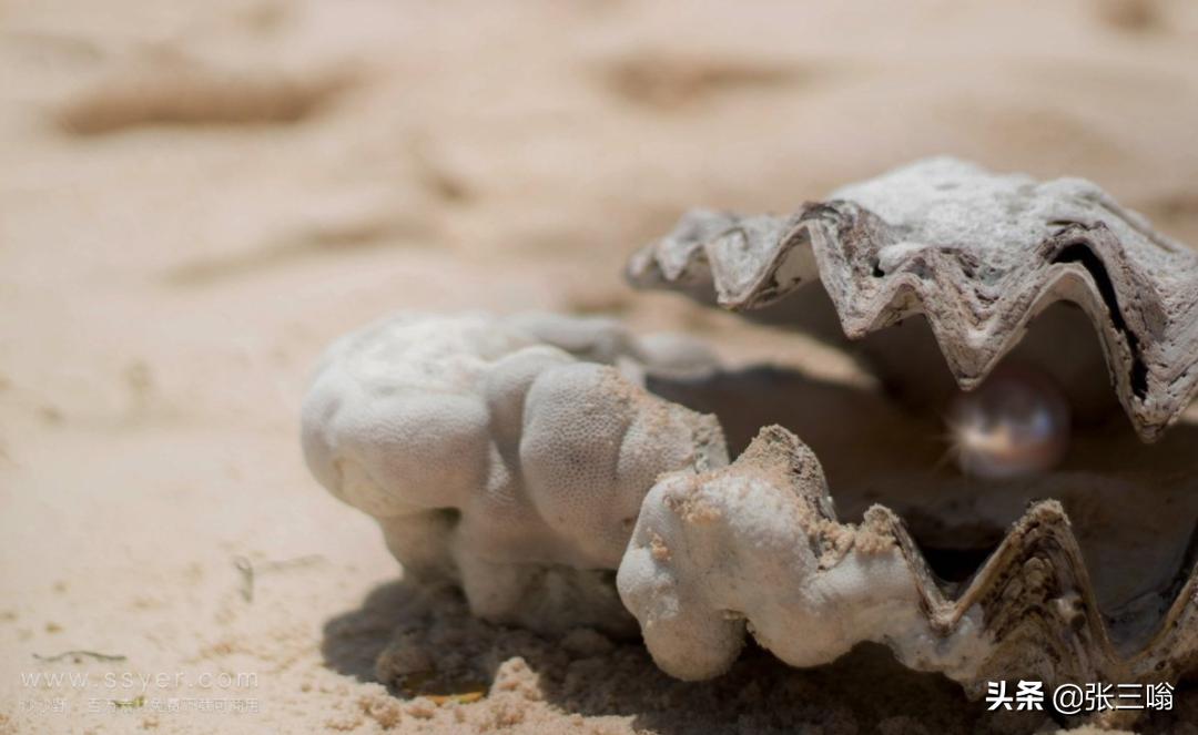 被低估的新能源汽车公司,被低估的上海新阳