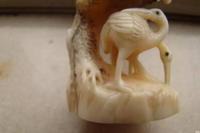 这10种文玩都是违禁品最好别碰,国家明令禁止的文玩有了会如何