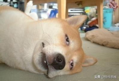 520节日送女朋友礼物,520送什么东西给女朋友