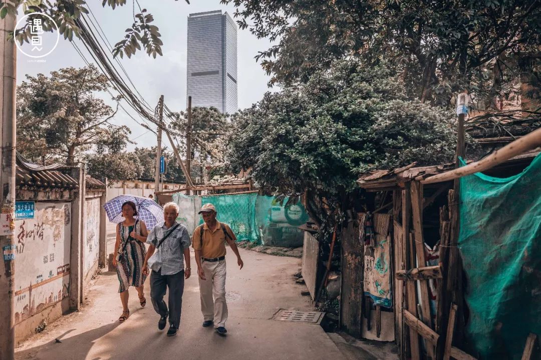 再见了沥川原唱视频,再见王沥川完整视频