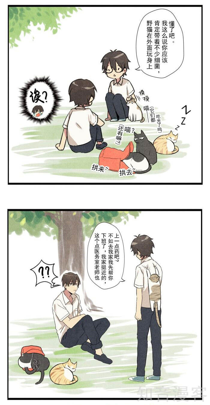 猫和铲屎官的日常生活漫画,猫和铲屎官的日常漫画