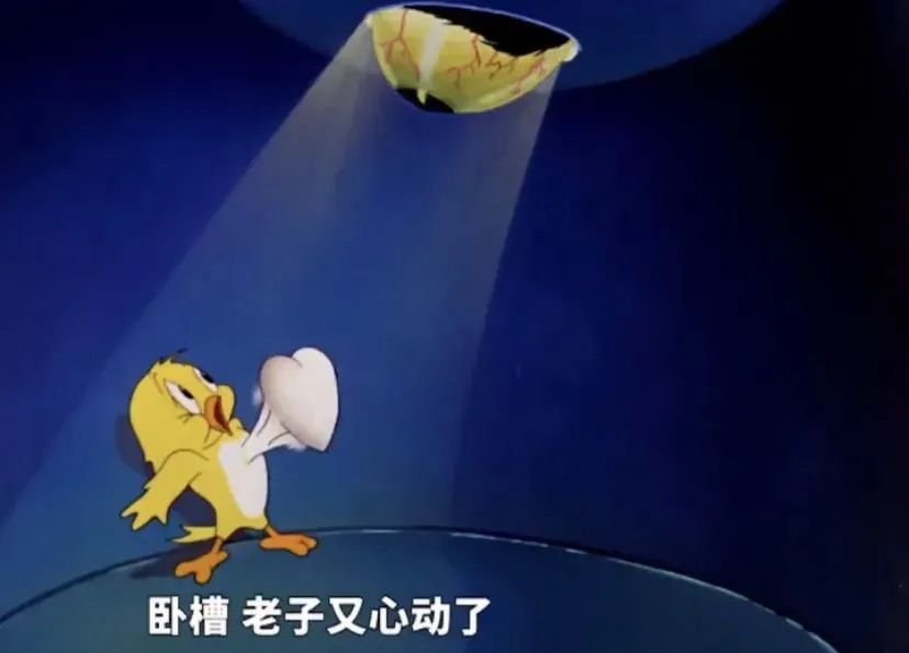 网购衣服和品牌的衣服一样,网购如何挑选有质感简约的衣服