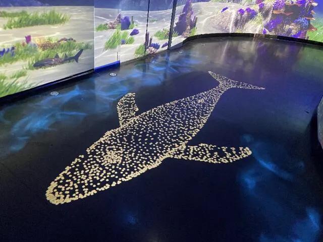 深圳暑假值得带孩子旅游的地方,深圳十大暑假室内必去景点