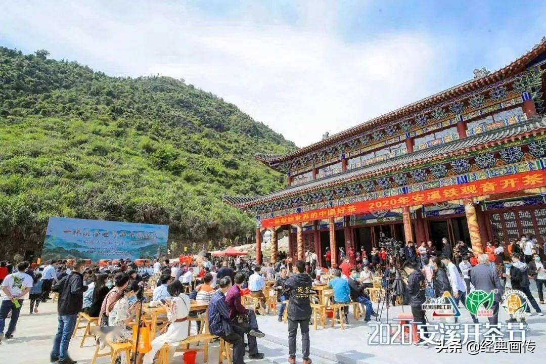 安溪高山铁观音独特之处,正宗安溪高山铁观音