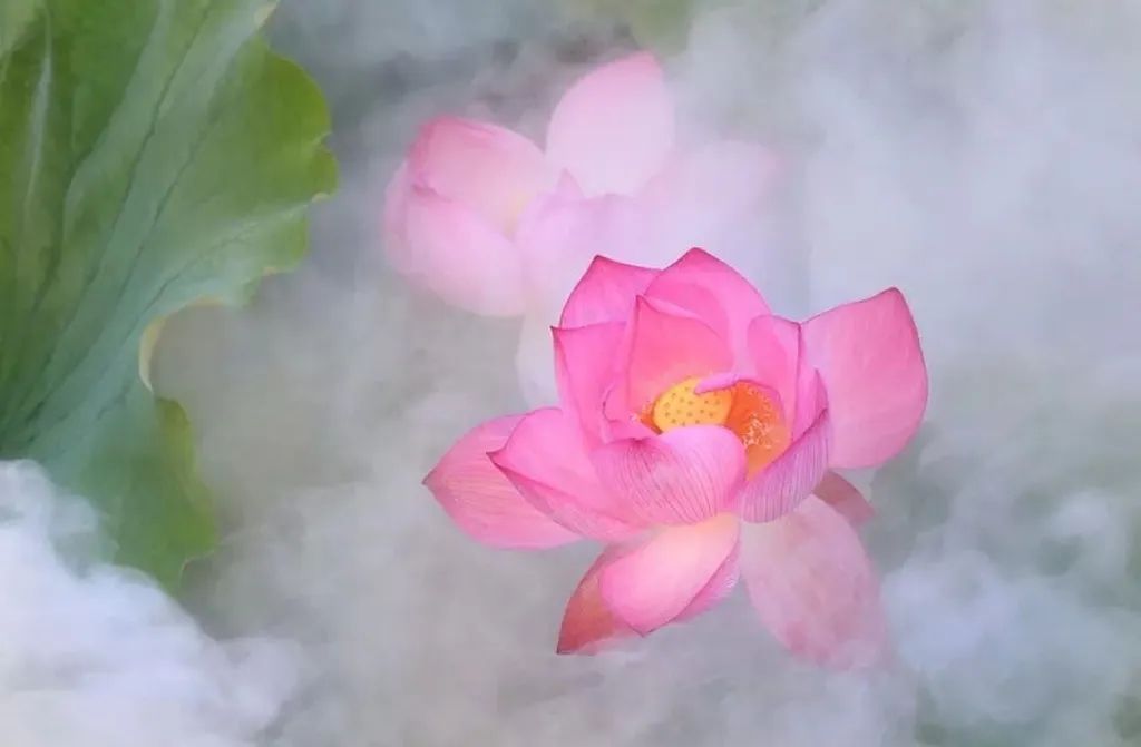 繁华过后一盏清茗也能品出百味,繁华之后静立于世